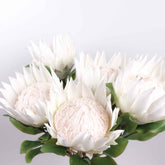 King Protea Stem Artificial White King Protea Bloom